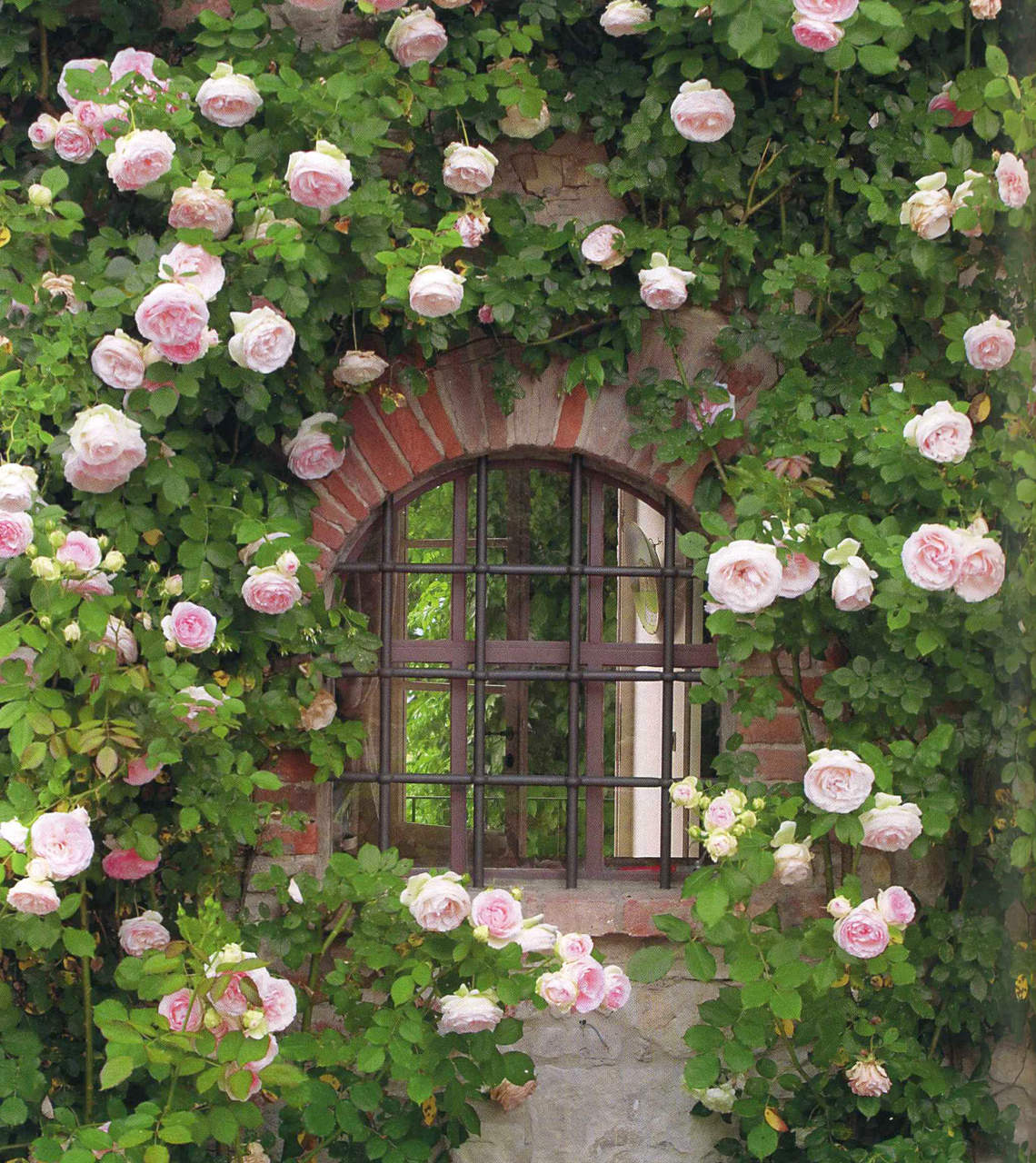 Cascina Vione, Milano – Immagine 2