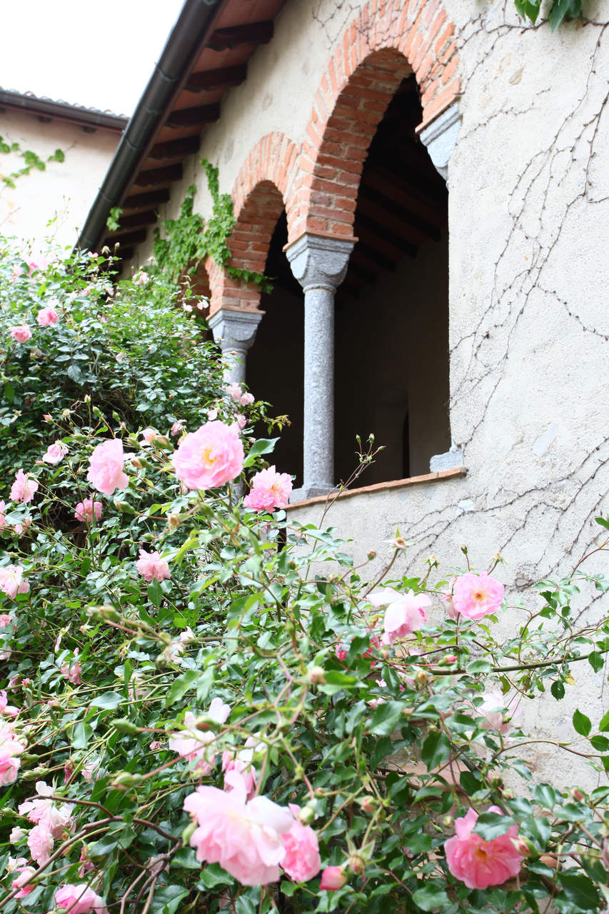 Castello di Montechino, Piacenza